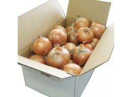 淡路島産新玉ねぎ20ｋｇ入【送料込】【産地直送】【販売期間：2023年6月9日午前8時59分まで】